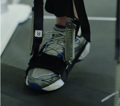 Charley Chalenge Illustration 2 Charley Chalenge Illustration 2